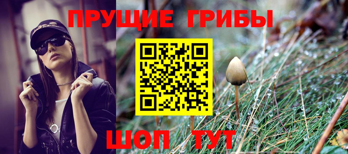 Ртищево  как найти закладки  Вход с VPN  Галлюциногенные грибы Cubensis 